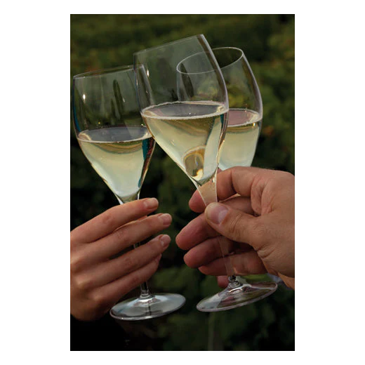 Laurent Perrier J Lemoine Brut Champagne 75cl Bottle - Image 4